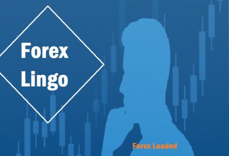 Forex Lingo Every Beginner Trader Should Know Forex Lingo