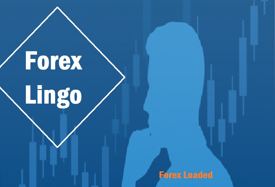 Forex Lingo Every Beginner Trader Should Know Forex Lingo