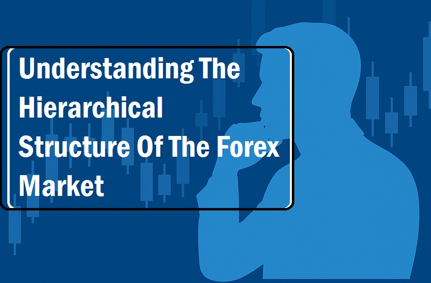 Understanding The Hierarchical Structure Of The Forex Market Understanding The Hierarchical Structure Of The Forex Market