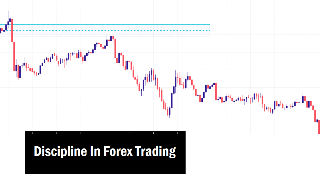 What Discipline Really Means In Forex Trading Discipline in Forex Trading