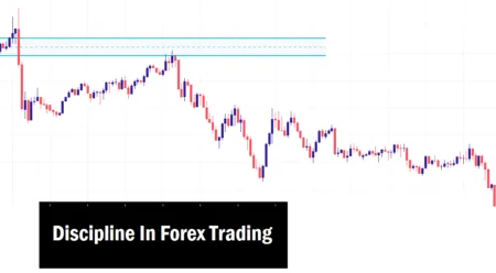 Discipline in Forex Trading